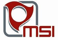 Manufacturing Solutions Inc. (MSIvt)