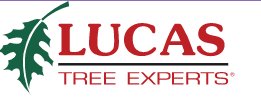 Lucas Tree Experts